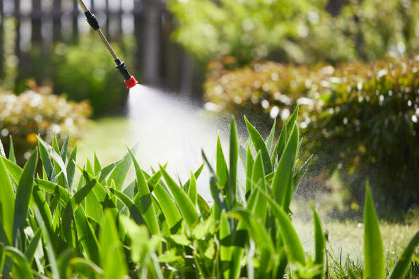 24/7 Emergency Cockroach Control experts in Ogallala, NE